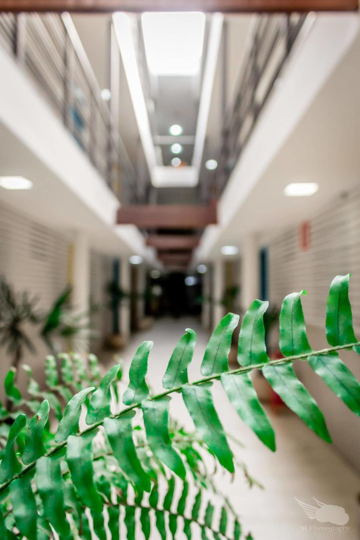 Hotel Bh Palmares - Acesso Cristiano Machado